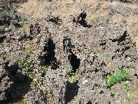 iara Scorciavacca-20110306 018
